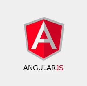 angular js